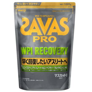 �U�o�X(SAVAS) �v�� WPI ���J�o���[ 1020g �}�X�J�b�g���� (�v�ʃX�v�[����) ����