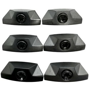 2025�N���f�� �L�����E�F�C ELYTE �G���[�g �h���C�o�[�Ή� �E�F�C�g ELYTE X ELYTE MAX FAST�h���C�o�[�Ή� �o�b�N�E�F�C�g (23g)