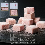 【マラソンP10倍】 いちご 生チョコ ギフト 高級 送料無料 『 生チョコ ゆうべに苺 10粒入・20粒入 』 1…
