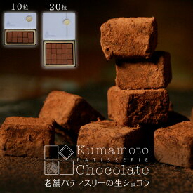 まだ間に合う バレンタイン チョコ 2026 送料無料 生チョコ 『生チョコ 10粒入・20粒入』 詰め合わせ チョコレート ブランド 高級 生チョコレート クーベルチュール カカオ スイーツ お菓子 洋菓子 プレゼント ギフト プチギフト 本命 義理チョコ 誕生日 ご褒美 お配り