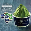 アイス福袋 アイス アイスクリーム 「 ジェラート 6個 詰め合わせ 」 アイスギフト 高級 送料無料 シャーベット ソルベ スイーツ フルーツアイス 夏ギフト 父の日 2026 お返し 洋菓子 ご褒美 誕生日 ギフトセット プレゼント 贈り物