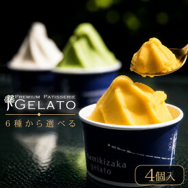 アイス ギフト 高級 ランキング1位 『 選べる ジェラート 4個 詰め合わせ 』 送料無料 お中元 夏ギフト アイスギフト アイスクリーム シャーベット ソルベ フルーツアイス スイーツ ご褒美 セット 贈り物 お菓子 熊本 老舗 ヘルシー 低脂質 誕生日 内祝い お返し お祝い