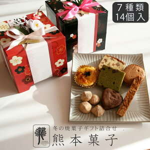 XC[c 2026  Ăَq XC[c Mtg lߍ킹  `R[g JXe  t^ I HMtg َq mَq aَq v[g a  j j