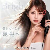 ＼最大3,000円OFF／【1位獲得】ブライト シャワードライヤー BRT-SD173 brighte