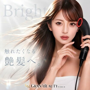 �_�ő�3,000�~OFF�^�y�y�V1�ʊl���z�u���C�g �V�����[�h���C���[ BRT-SD173 Brighte
