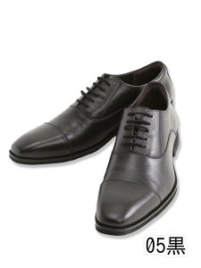 y傫TCYzAEhUV[Y/around the shoes H Xg[g`bv hXV[Y