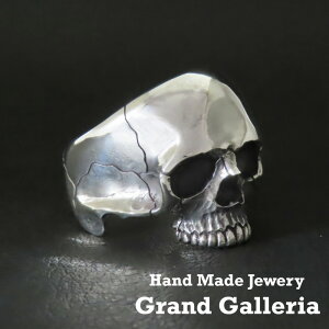 XJO w Vo[925 y󖳗z XJ [ hN  O Vo[ANZT[ Y NX}X a v[g j ގ nhCh   WG[{