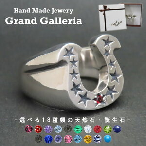 z[XV[X^[O w Vo[925 |Cg10{ y󖳗z z[XV[ X^[ n  O Vo[ANZT[ Y Iׂ VR a Xg[ nhCh 