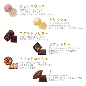 トリュフラインナップ