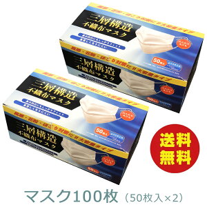 o }XN100 (50×2)  sDz}XN lp ʃTCY 3w\ ̃v[c ӂۂЂ xtB^[ ĝă}XN