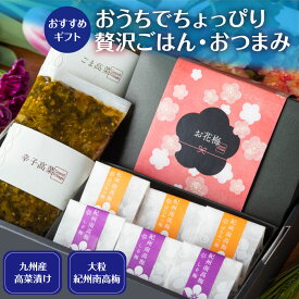 母の日 プレゼント 早割 食品 ギフト 漬物 梅干し 個包装 (梅干し6個・高菜2種)紀州南高梅 はちみつ しそ 梅干 梅干し はちみつ しそ 紀州 南高梅 高級 九州産 高菜漬け 内祝い プレゼント ご飯のお供 ギフト