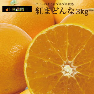 50~OFF N[| 10/30 0:00-11/10 23:59z㐙_ ܂ǂ Ε Qʎ28 ܂ǂ 3kg (TCY)  ʌ Mtg p p Grand Village ݂ ~J  Ε 