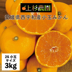 30円OFF クーポン 10/30 0:00-11/5 23:59】愛媛 みかん 小玉 みかん 小粒 3kg 上杉農園 愛媛県 西宇和産 温州 みかん (2Sサイズ小玉) 3kg ギフト ご自宅用 GrandVillage 送料無料 みかん ミカン 2S 高級 お歳