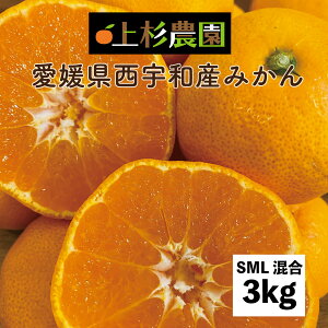 Q ݂ Ε 3kg (SMLTCY) FaY 㐙_ Mtg p Grand Village  ݂ ~J   S M L Ε   Ε ݂  NX}X Â W