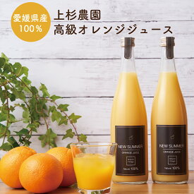 フルーツ ジュース ギフト ニューサマーオレンジ 高級 オレンジジュース 100% (720ml×2) 無添加 国産 オレンジジュース 100％ 紙パック ではない オレンジジュース ストレート