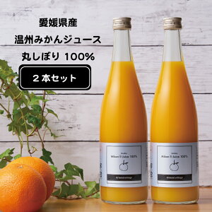 高級 オレンジ ジュースの人気商品 通販 価格比較 価格 Com