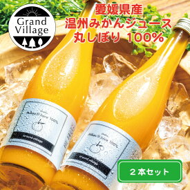 遅れてごめんね 母の日 ジュース 母の日 果物 ジュース みかん 愛媛県産 高級 オレンジジュース 100% (720ml×2本) 無添加 オレンジジュース ストレート オレンジジュース 100％ みかんジュース セット 温州みかん フルーツジュース