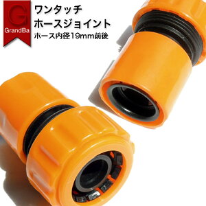 z[XWCg a19mmz[Xp ^b`RlN^[ 