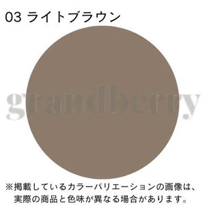 【セット商品・ネコポス発送】資生堂 INOUI インウイ アイブロウペンシル ホルダー+カートリッジセット(全4色) 国内正規品 *