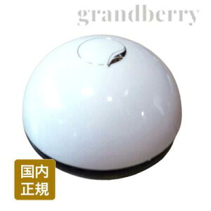 【国内正規品】アイレディース化粧品 エモリエントクリームB (弱酸性) 40g
