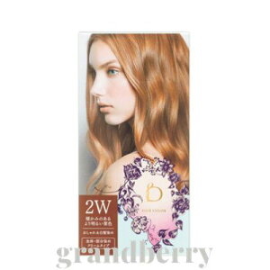 yKiz xltB[N wAJ[@2Wiĝ݂薾邢IFjB