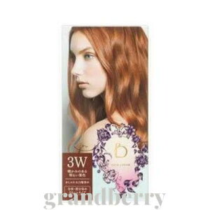 yKiz xltB[N wAJ[@3Wiĝ݂閾邢IFjB