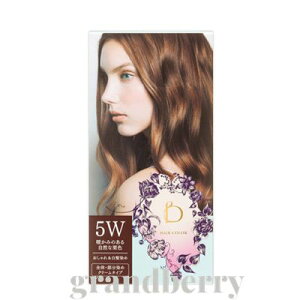 yKiz xltB[N wAJ[@5Wiĝ݂鎩RȌIFjB