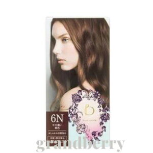 yKiz xltB[N wAJ[@6NiZIFjB