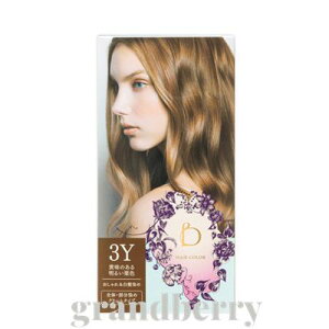 yKiz xltB[N wAJ[@3Yî閾邢IFjB