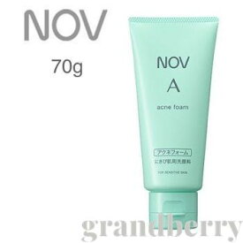 楽天市場 ノブ 洗顔の通販