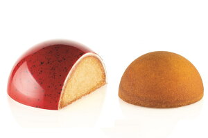 FLORENCE 500 tBcF500yTPLUSĐ\vX`bNzP[X₵^th[(^)ya150mmzsilikomartVR}[g