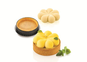 kit tarte ring blossom70mm Lbg^gO@ubT70(ԁEԗ)ykit blossom70zVR^silikomartVR}[g