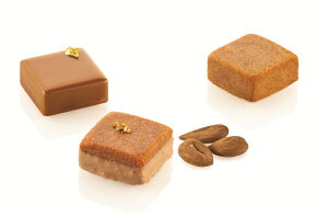 QUADRATO XS 20 NAh[gXSysf404z~j` 37mmp-24 VR^ silikomart VR}[g