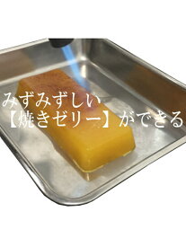 FULLMOON ニュートリー GELLANTOR ジェランター 焼きゼリー wonder powder ワンダーパウダー フルムーン