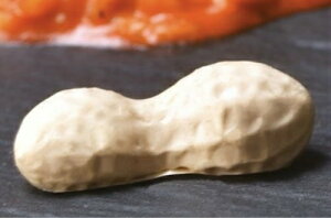 VRP[L^ Ԑ Peanut s[ibcyGG014z4.7cmi24)PAVONIp{[jА