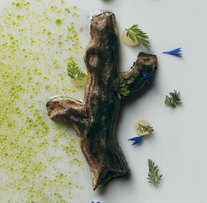 VRP[L^ Tree3  ؁yGG023z12cmi6)PAVONIp{[jА