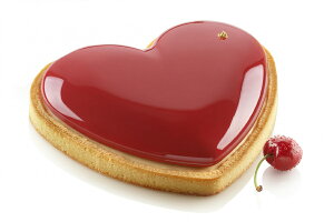 KIT TARTE RING AMORE205 Lbg^gO@A[205mm@n[g20cmyKT@AMORE205zVR^silikomartVR}[g