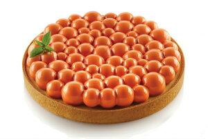 KIT TARTE RING BUBBLE190 Lbg^gO@ou190mm@yKT@BUB190zVR^silikomartVR}[g
