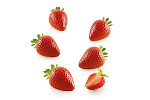 FRAGOLA 30ml@tS5cm@C`Sij@Jb^[tysf281czVR^silikomartVR}[g
