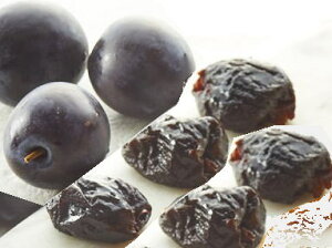 [gvj[(tX) Z~hCt[c@Z~hC v[(Prune)500gy27011zԐF