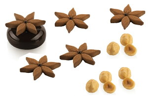 VR^ COROLLE4 R[4 悹p Ԋ 45mmi15jySF442zVR}[g silikomart