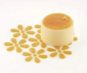 stencil SAKURA-N(XeVEEETNEԁEt[)2g yPia10cmz 荞݁E] silikomart VR}[g