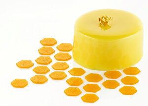 stencil MIELE(XeV@~G[En`~cEȊ)2g yPia10cmz 荞݁E] silikomart VR}[g