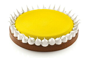 KIT TARTE RING ROUND a230mmLbg ^gOytarte230zVR^silikomartVR}[g