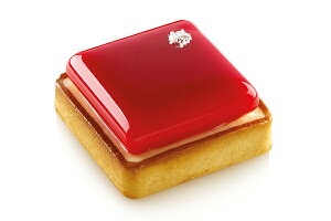 KIT TARTE RING SQUARE `80mmLbg ^gOytarte80szVR^silikomartVR}[g