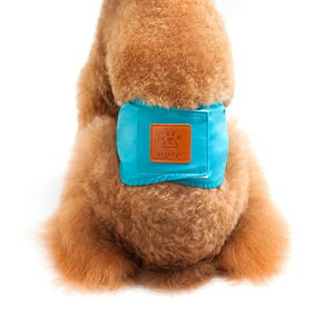 p}i[xg p }i[oh ނJo[ hbOEFA hbOEGA gC s IVbRs Vv  }[LOh~ e pi ObY o 