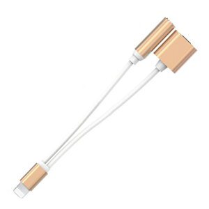 iPhone �C���z�� �ϊ��A�_�v�^ 2in1 �[�d���Ȃ��特�y���y���� 3.5mm �C���z���W���b�N �[�d�P�[�u�� �[�d�� �ϊ� iPhone8 iPhone8Plus iPhone 11 iPhone 11 Pro iPhone11 Pro Max �w�b�h�z���ϊ��A�_�v�^�[ �V���v
