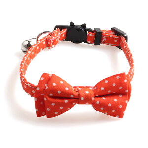 Lp  L { |bv J[ Jt hbg  { SobN [ht L^obN  킢 lR Lbg lRObY LObY ybgpi lN^C