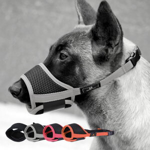 犬用しつけグッズ 噛み癖の人気商品 通販 価格比較 価格 Com 犬用しつけグッズ 噛み癖の人気商品 通販 価格比較 価格 Com