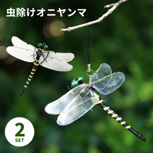  Ij} 2Zbg 悯 ɂ AEghA St g{ Ƃ Lv BBQ Xgbv